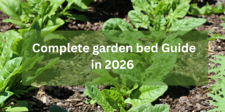 a raised garden bed