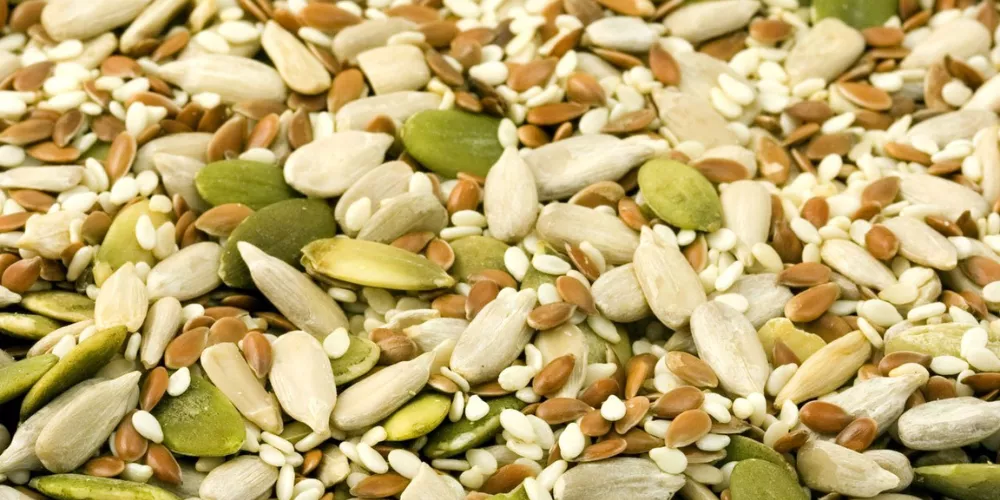 Essential Tools: Selecting the Best Potting Mix and Seed Starting Tray