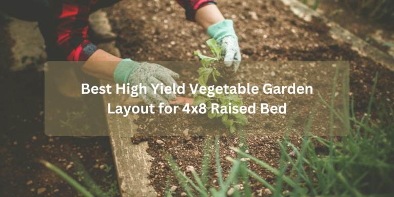 Best-High-Yield-Vegetable-Garden-Layout-for-4x8-Raised-Bed