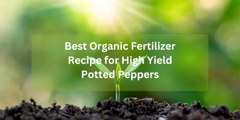 Best Organic Fertilizer