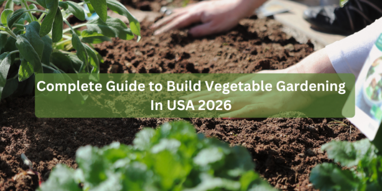 Complete Guide to Build Vegetable Gardening In USA 2026