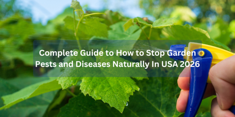 Complete Guide to How to Stop Garden Pests and Diseases Naturally In USA