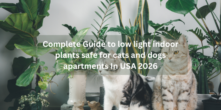 Complete Guide to low light indoor plants safe for cats and dogs apartments In USA 2026
