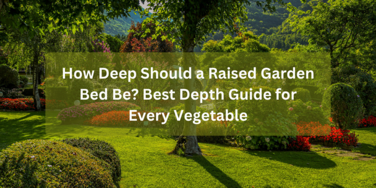 How Deep Should a Raised Garden Bed Be? Best Depth Guide for Every Vegetable