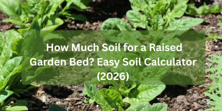How Much Soil for a Raised Garden Bed? Easy Soil Calculator (2026)