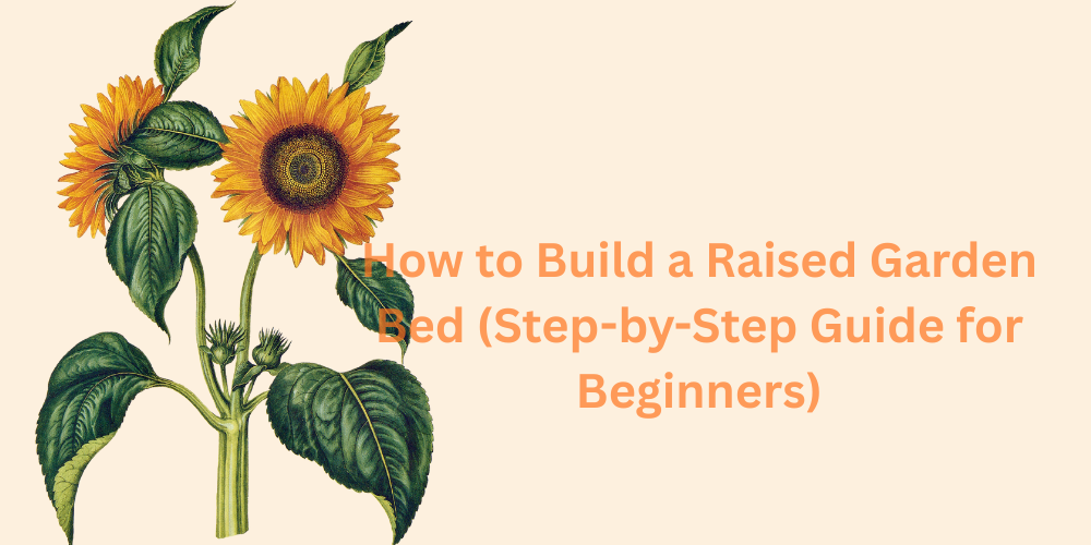 How to Build a Raised Garden Bed (Step-by-Step Guide for Beginners)
