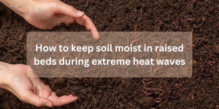 How to keep soil moist in raised beds