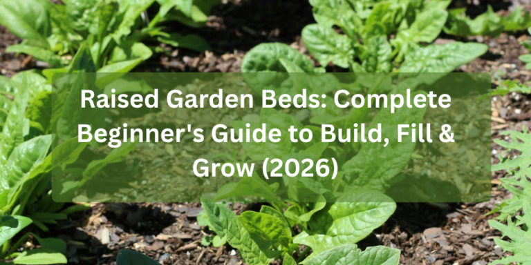 Raised garden beds for backyard vegetable gardening