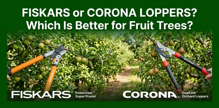 Fiskars or Corona Loppers Which Is Better for Fruit Trees