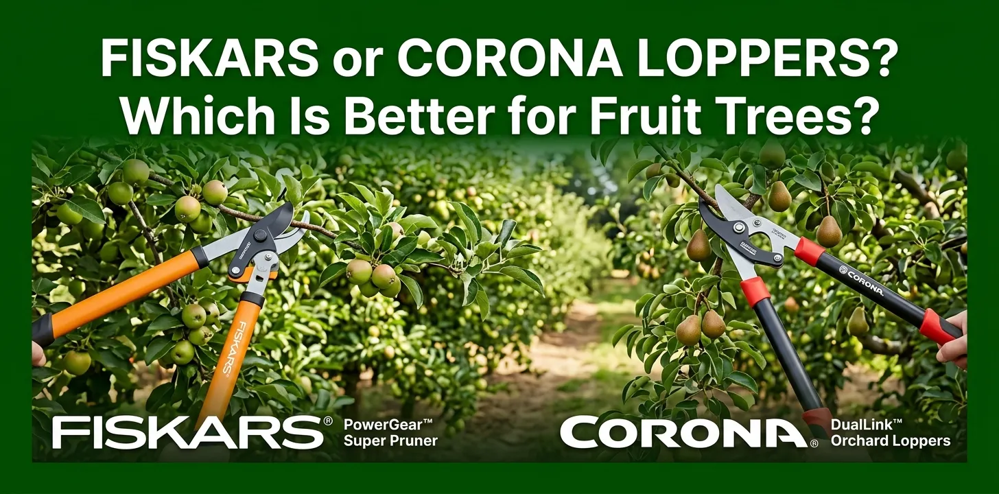 Fiskars or Corona Loppers Which Is Better for Fruit Trees